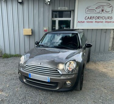 MINI MINI 2011