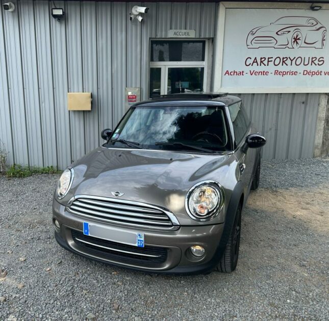 MINI MINI 2011
